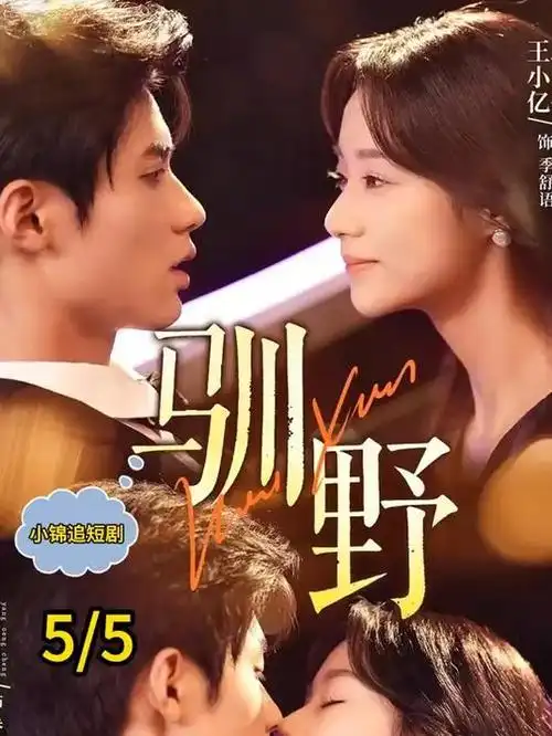 暗夜行者 犯罪动作 2025 电视剧